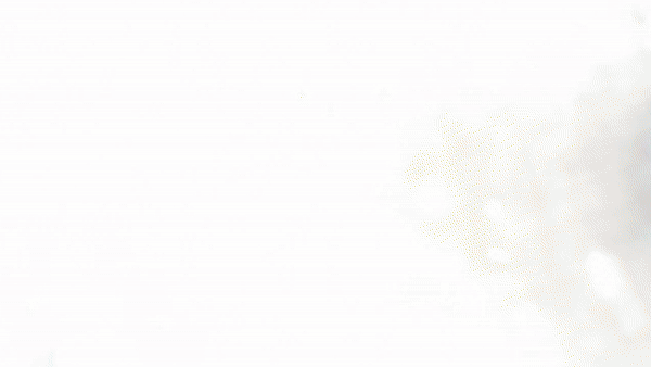 Your GIF Animation